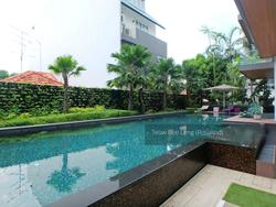 7 on Chapel (D15), Apartment #125661182